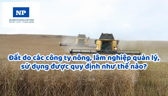 Đất do các công ty nông, lâm nghiệp quản lý, sử dụng được quy định như thế nào?