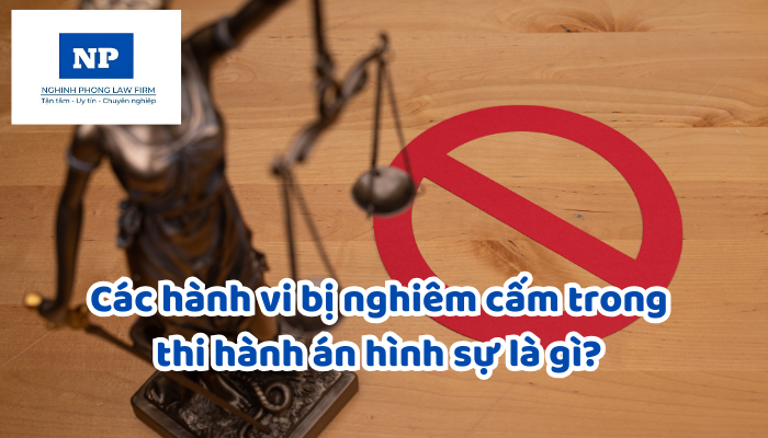 Các hành vi bị nghiêm cấm trong thi hành án hình sự là gì?