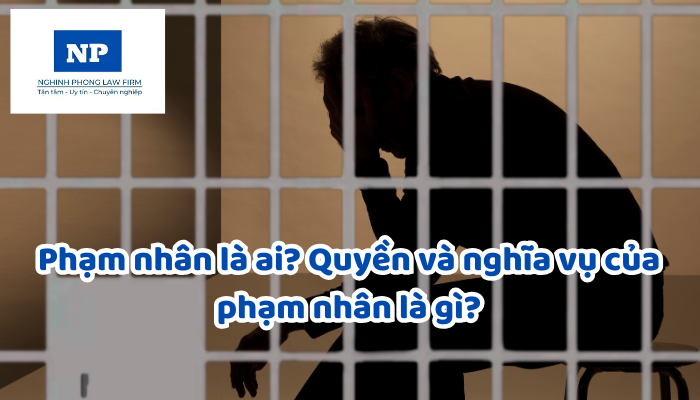 Phạm nhân là ai? Quyền và nghĩa vụ của phạm nhân là gì?