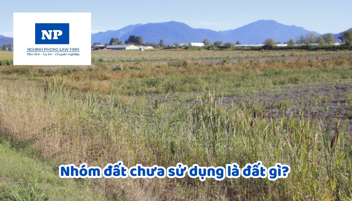 Nhóm đất chưa sử dụng là đất gì? Việc quản lý đất chưa sử dụng và đưa đất chưa sử dụng vào sử dụng được quy định như thế nào?