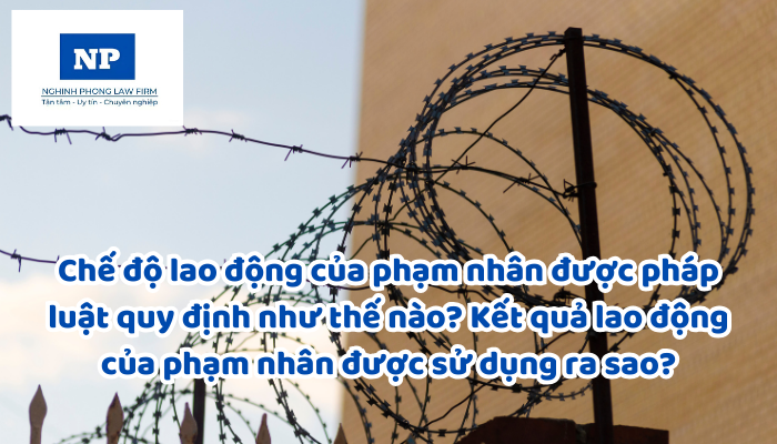 Chế độ lao động của phạm nhân được pháp luật quy định như thế nào? Kết quả lao động của phạm nhân được sử dụng ra sao?