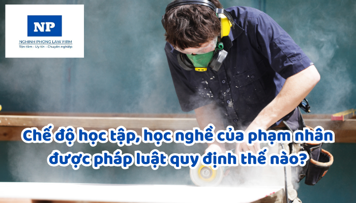 Chế độ học tập, học nghề của phạm nhân được pháp luật quy định thế nào?